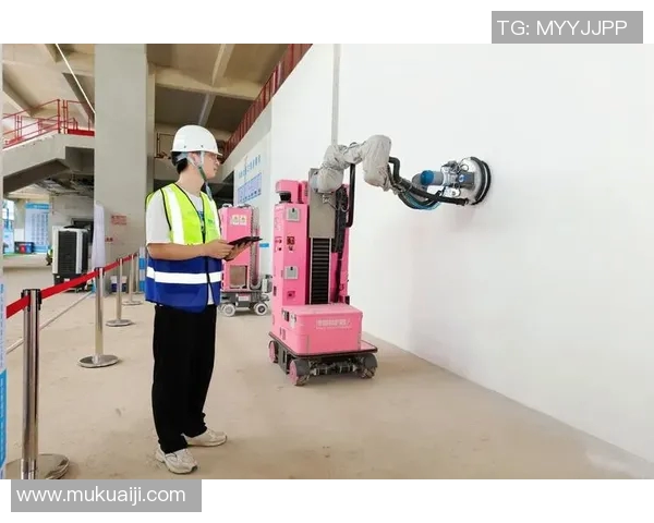 CS2carry队员的成长之路与团队协作的力量探讨