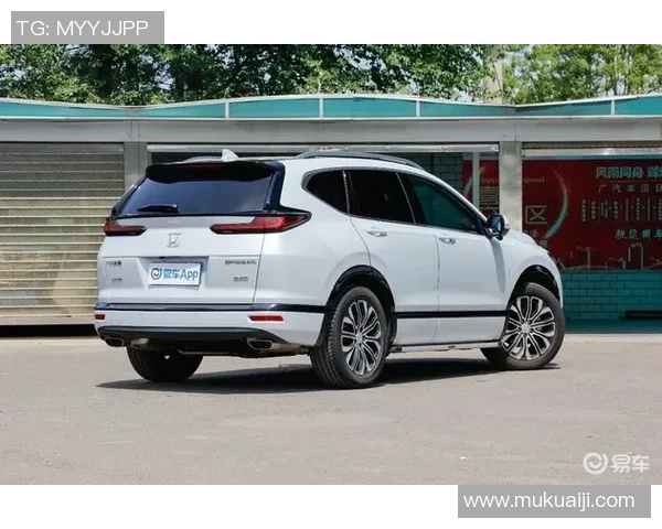 FPXZmjjKK控点的战略意义与战术应用分析 FPXZmjjKK控点的战略意义与战术应用分析